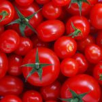 How to start tomatoes business in Nigeria