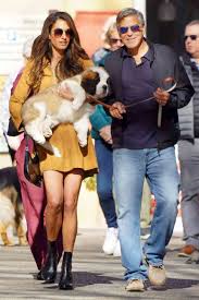George and Amal Clooney Spotted With New Puppy.
